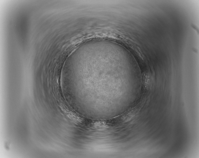 X0000100901489200807011208