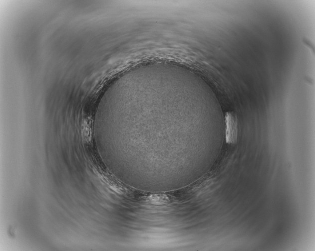 X0000100901491200807011208