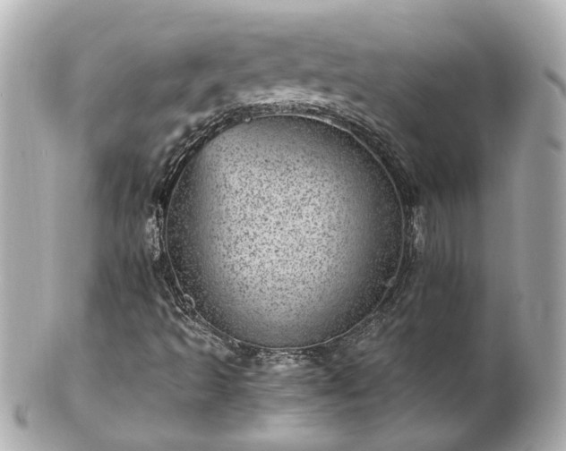 X0000100901493200807011208