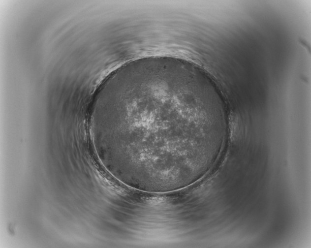 X0000100901497200807011208