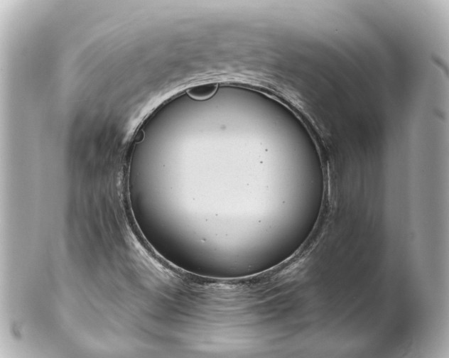 X0000100901500200807011208