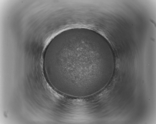 X0000100901508200807011208