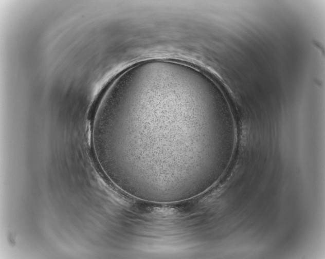 X0000100901509200807011208