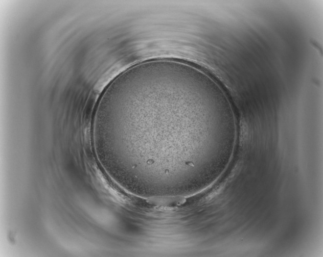 X0000100901513200807011208