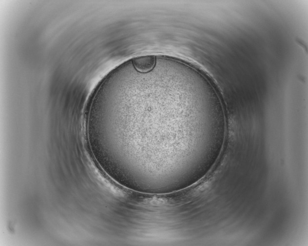 X0000100901517200807011208