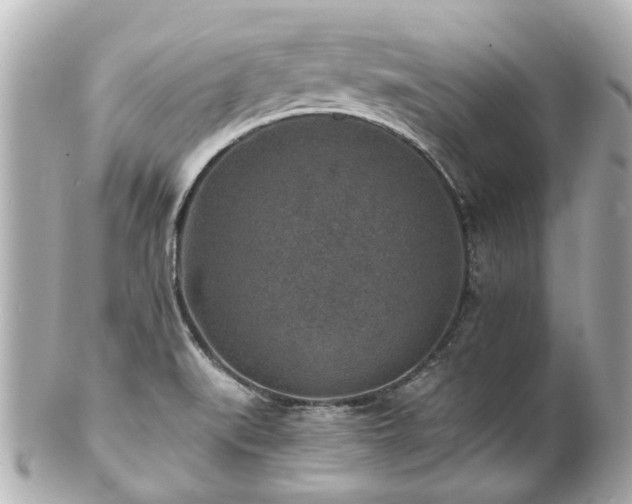 X0000100901519200807011208