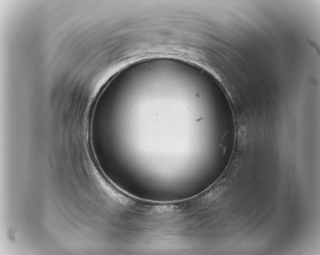 X0000100901523200807011208