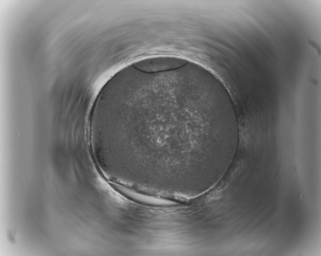 X0000100901527200807011209