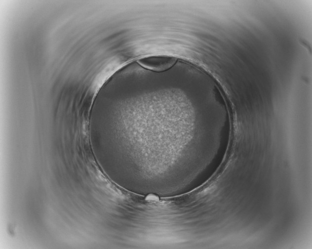 X0000100901529200807011209