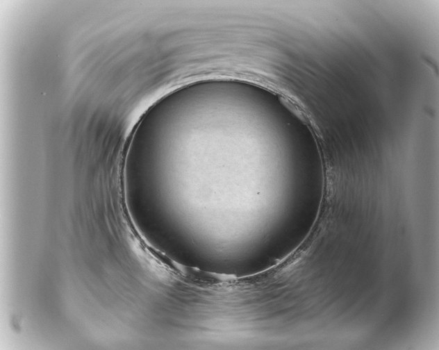X0000100901530200807011209
