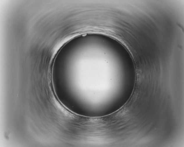 X0000100901531200807011209