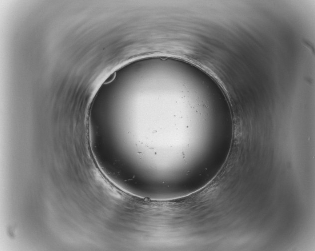 X0000100901532200807011209