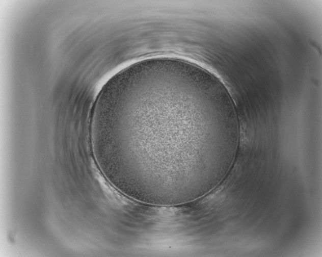 X0000100901534200807011209