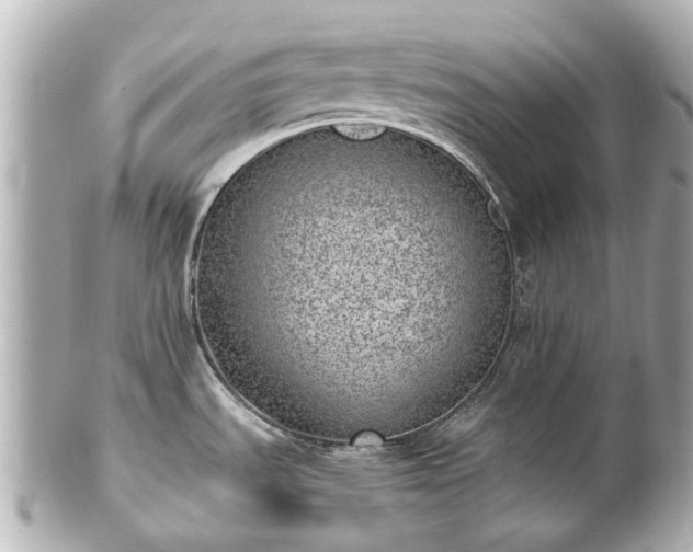 X0000100901535200807011209