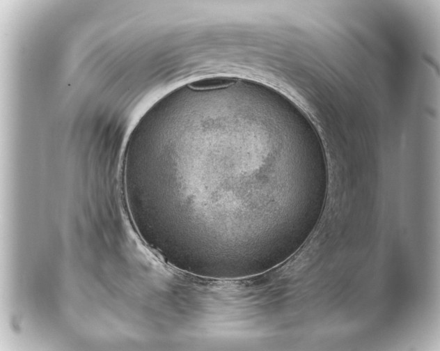 X0000100901536200807011209