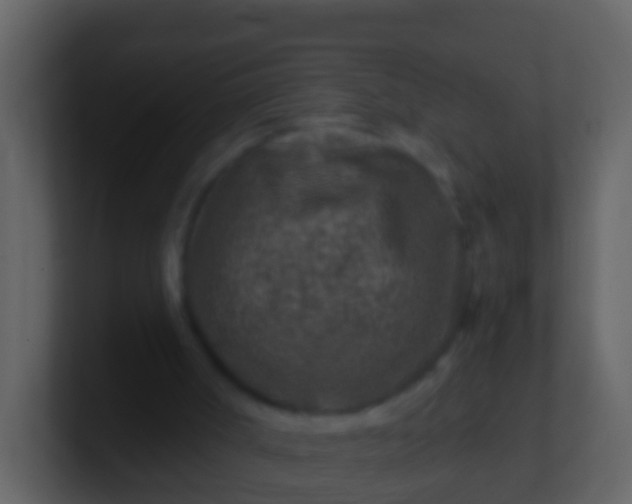 X0000100900002200807081113