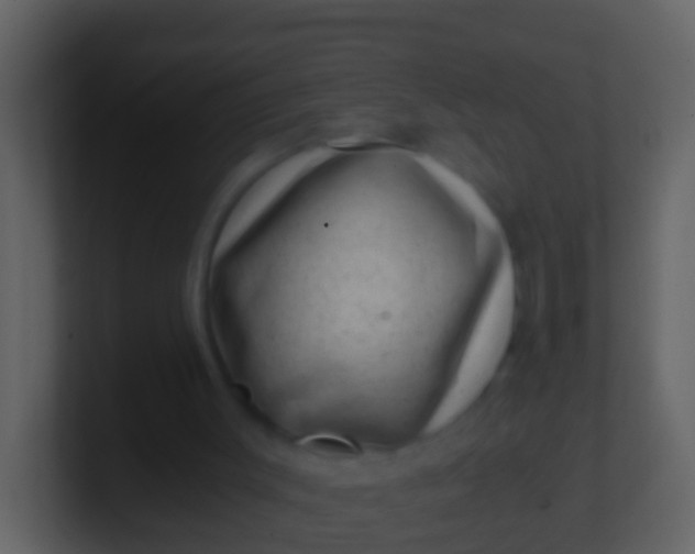 X0000100900003200807081113