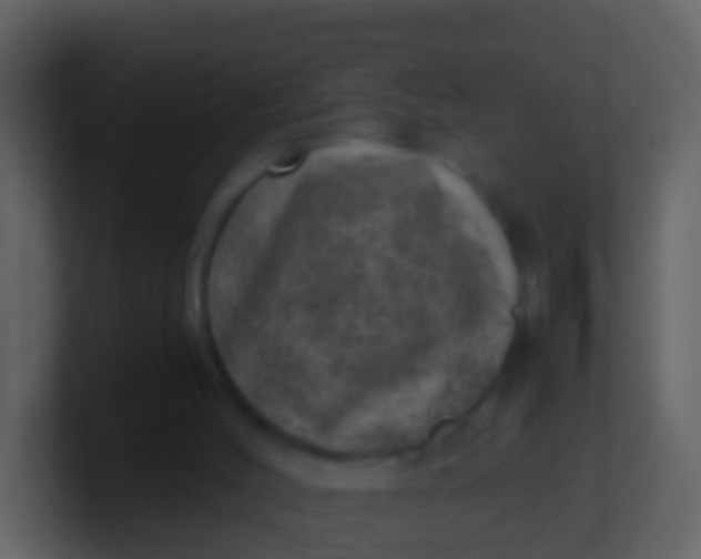 X0000100900004200807081112