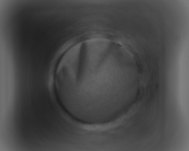 X0000100900005200807081112