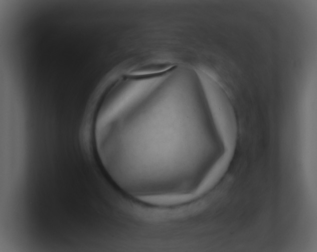 X0000100900007200807081112