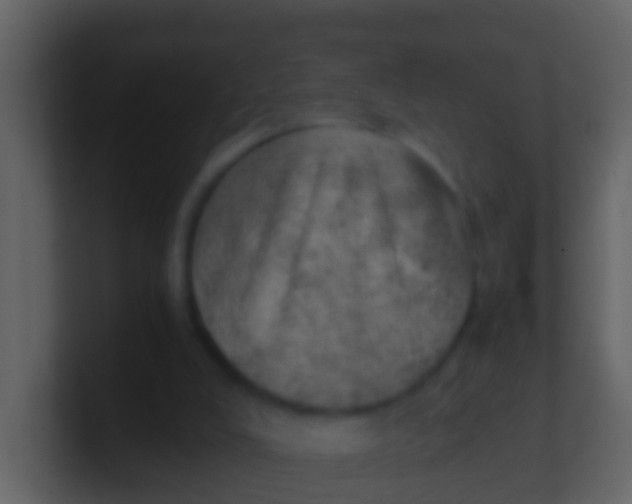 X0000100900008200807081112