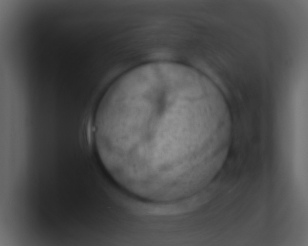 X0000100900011200807081112