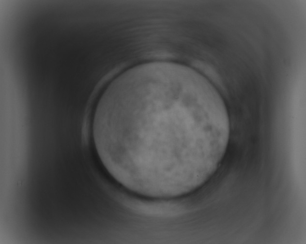 X0000100900012200807081112