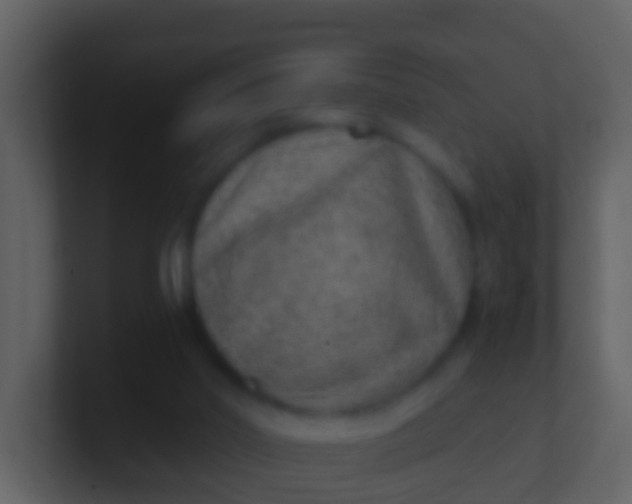 X0000100900014200807081112