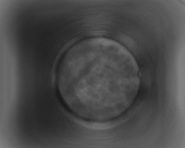 X0000100900016200807081112