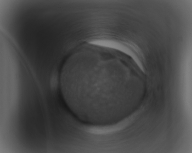 X0000100900017200807081112