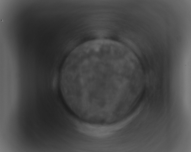 X0000100900018200807081112