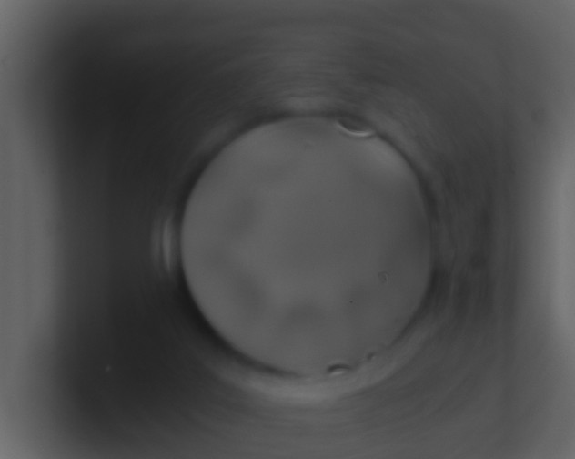 X0000100900019200807081112