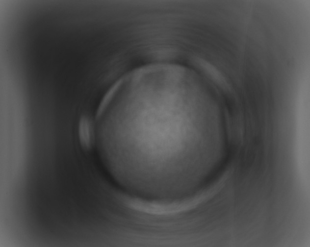 X0000100900022200807081112