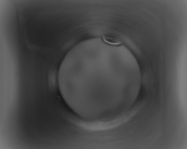 X0000100900023200807081112