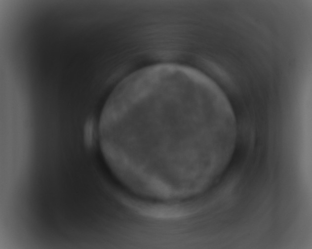 X0000100900024200807081112