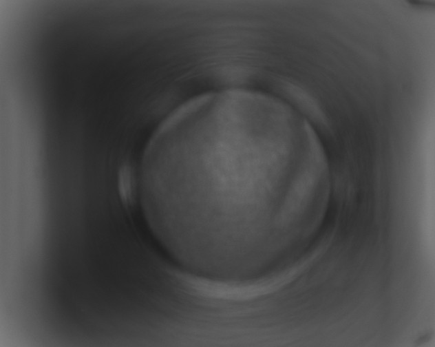 X0000100900026200807081112