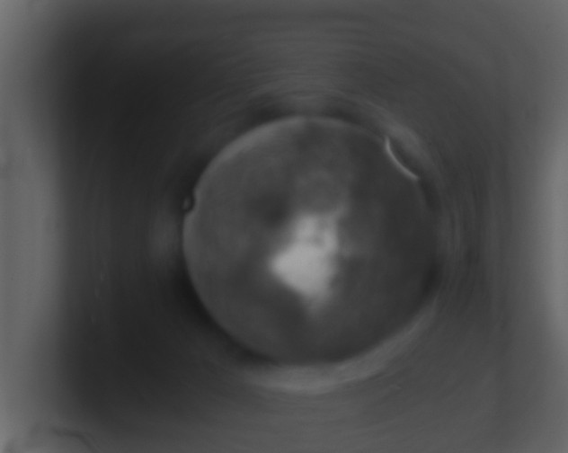 X0000100900029200807081112