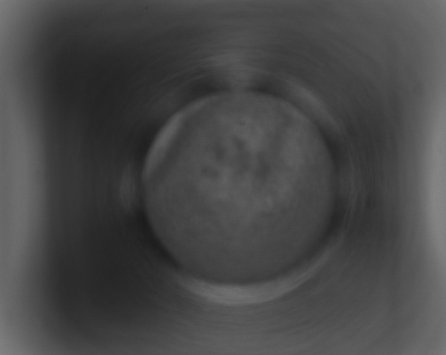 X0000100900030200807081112