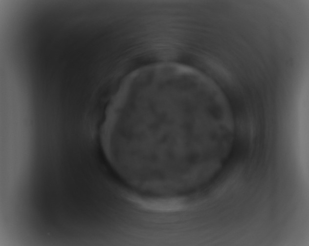 X0000100900032200807081112