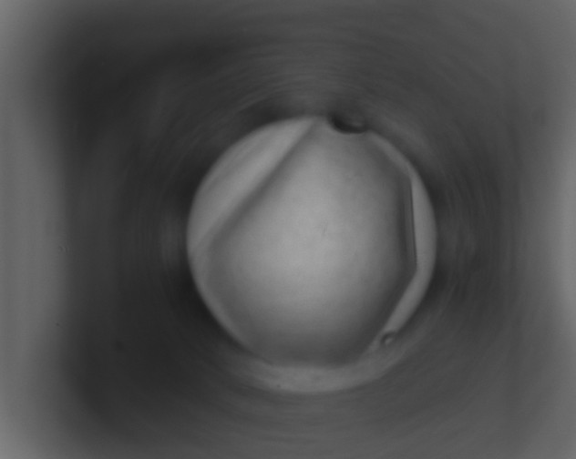 X0000100900034200807081112