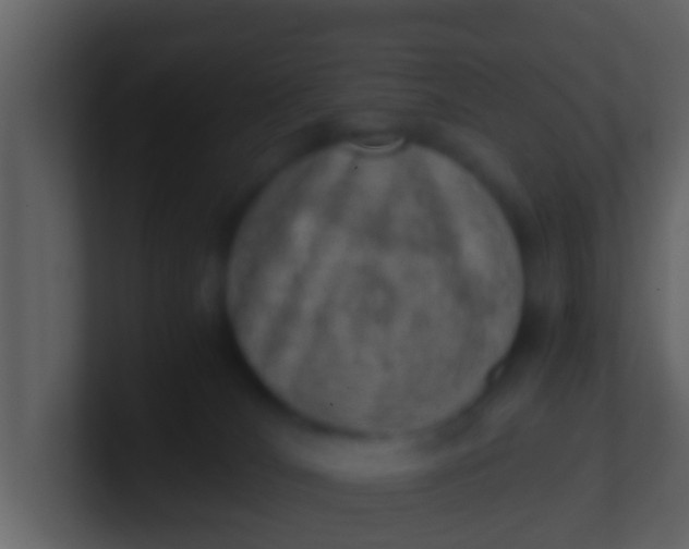 X0000100900036200807081112