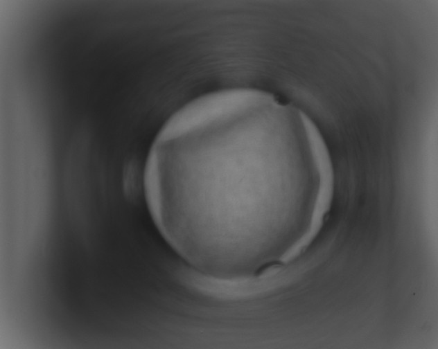 X0000100900038200807081112