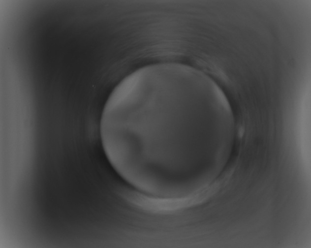 X0000100900039200807081112