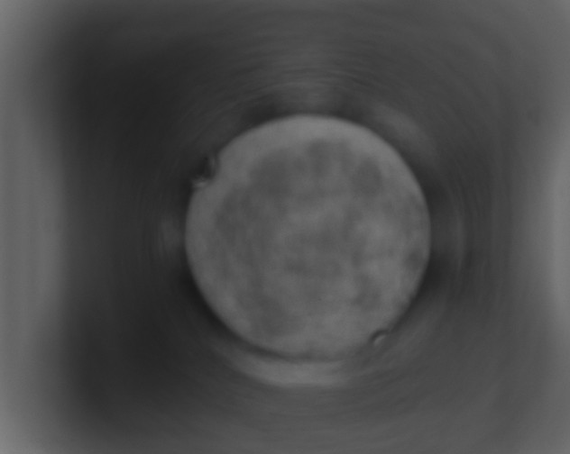 X0000100900040200807081112