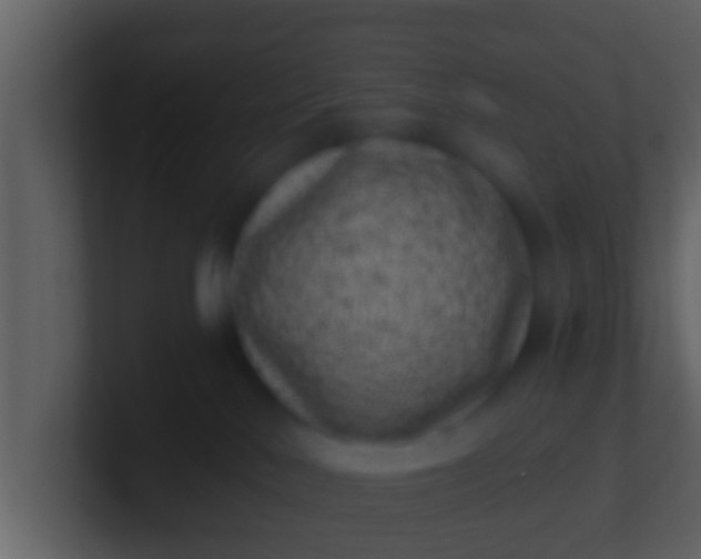 X0000100900042200807081112