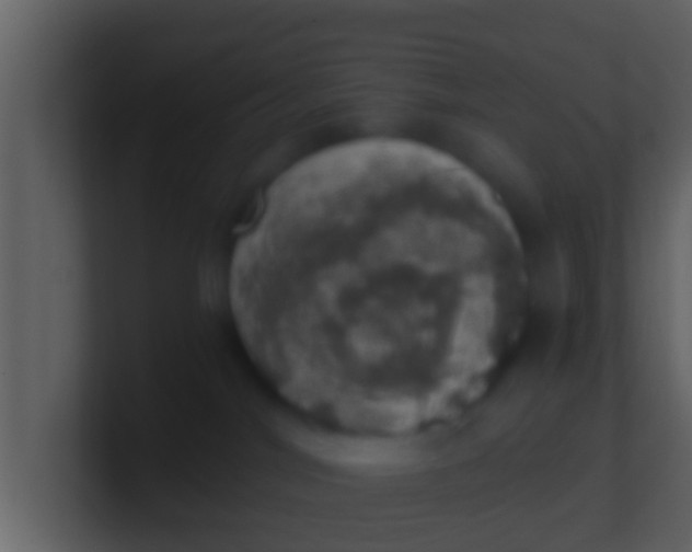 X0000100900044200807081112