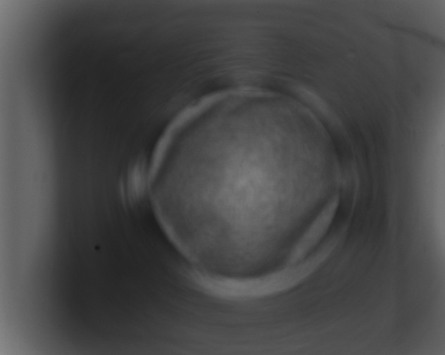 X0000100900046200807081112