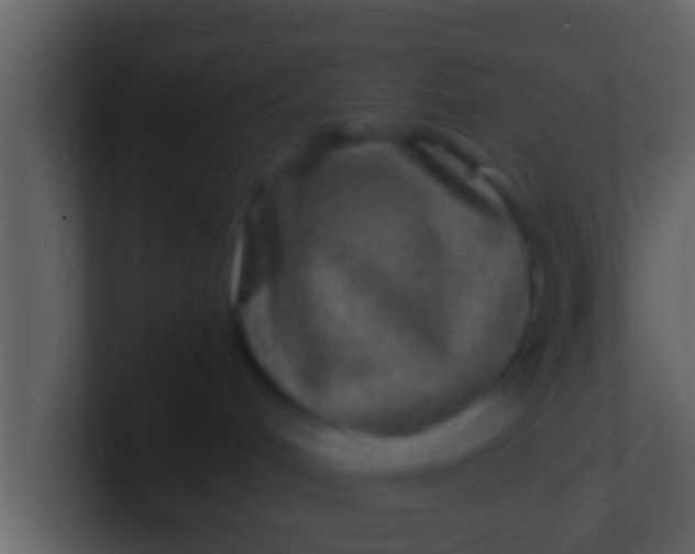 X0000100900048200807081112