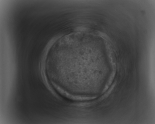 X0000100900049200807081111