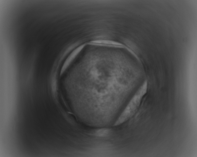 X0000100900050200807081111